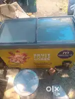Freecer 400 ltr