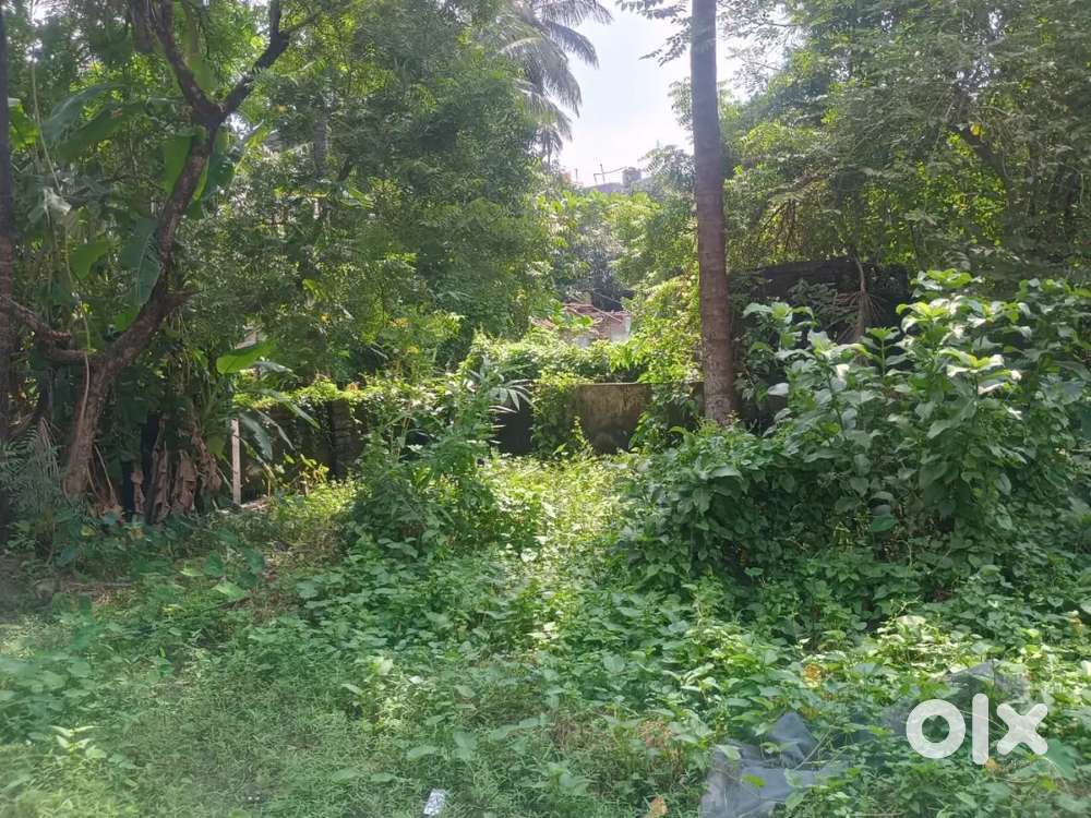 Become a land Owner