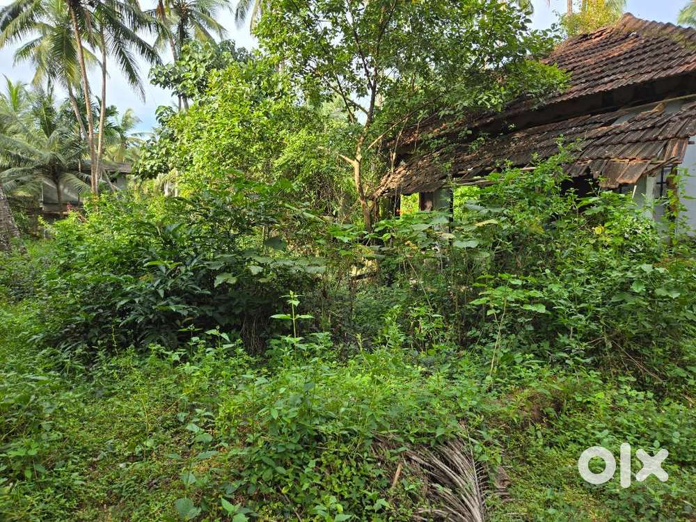 12 and half cent land near national highway