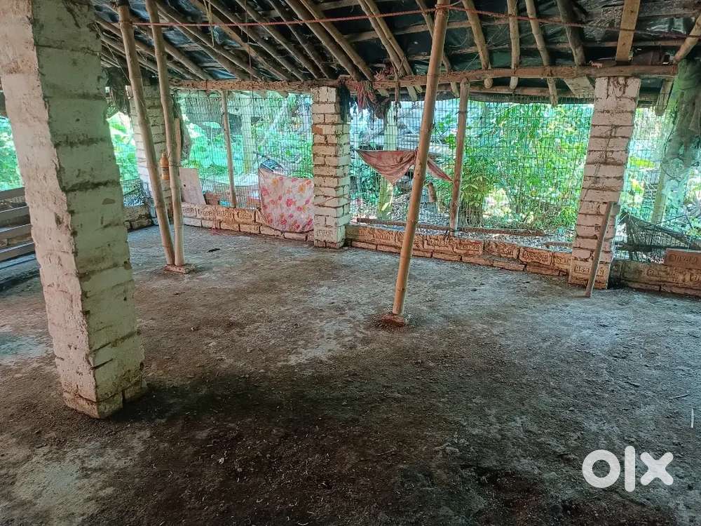 Total area 1200sq.ft.