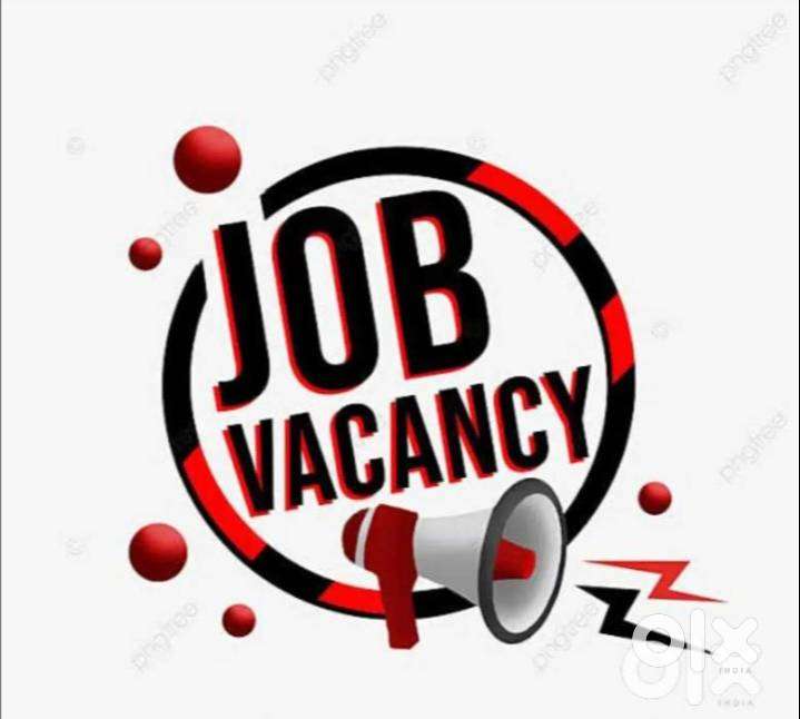 bank process document verification job