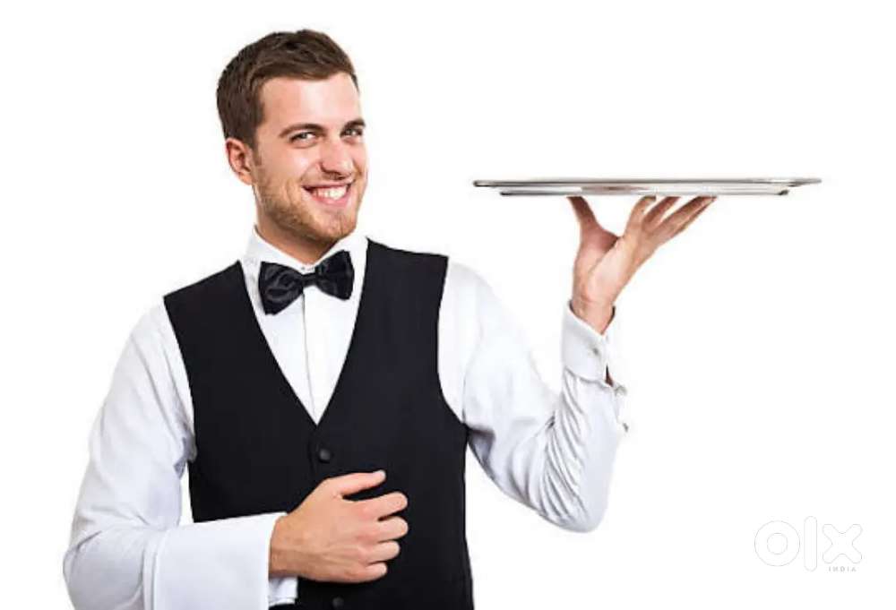 I Need :-  Waiter Steward // Captain // Kitchen Supervisor Staff