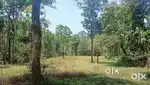 അമ്പലവയലിൽ റിസോർട്ടിനു പറ്റിയ 67 സെൻ്റ് സ്ഥലം വിൽപ്പനയ്ക്ക്