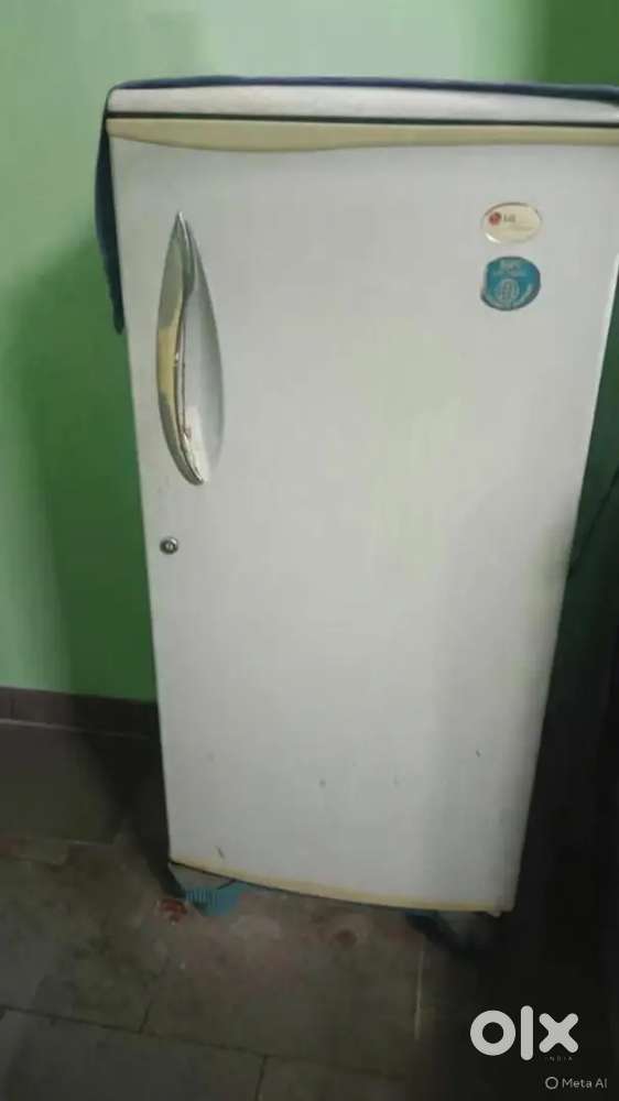 LG Fridge for small family