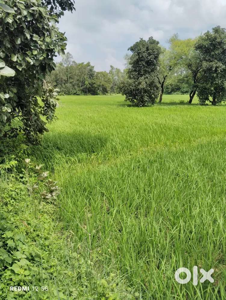 Sahaganj usari khurd me plot hai