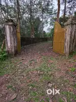 വസ്തു വിൽപനയ്ക്ക് ഏനാത്ത് എംസി റോഡ് ഒരു കിലോമീറ്റർ 15 ലക്ഷം