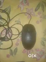 This mous is working condition online price is 700 to 1200
