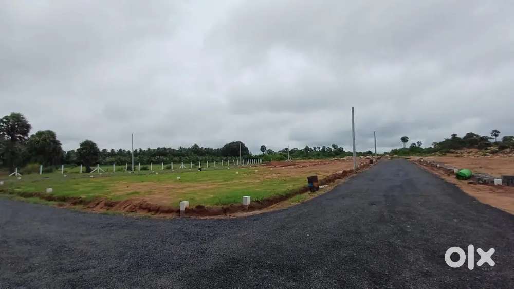 Very Low budget Dtcp Plot Sale in Kinathukadav