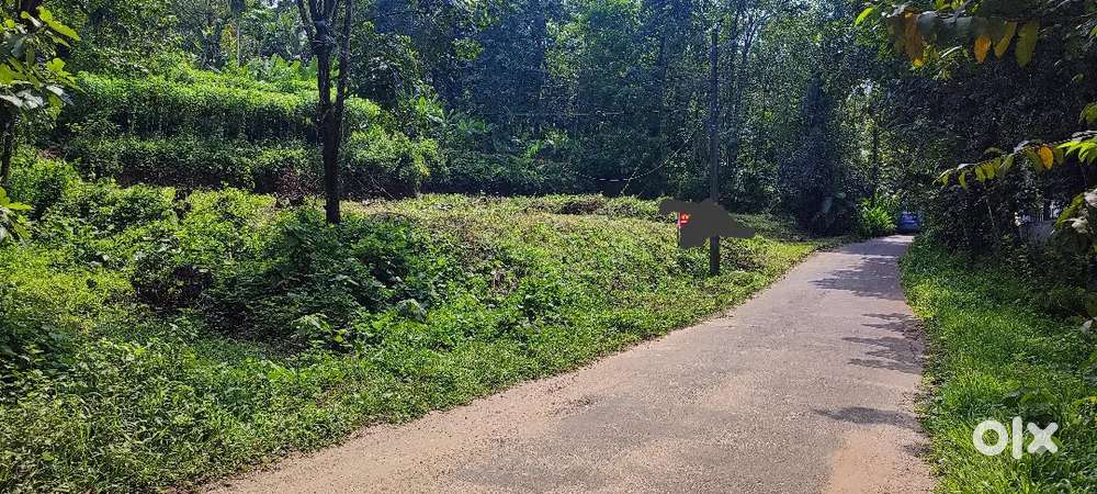 നെടുമാവ് 20 cent house plot.1.10 .lakh.neghoshible.