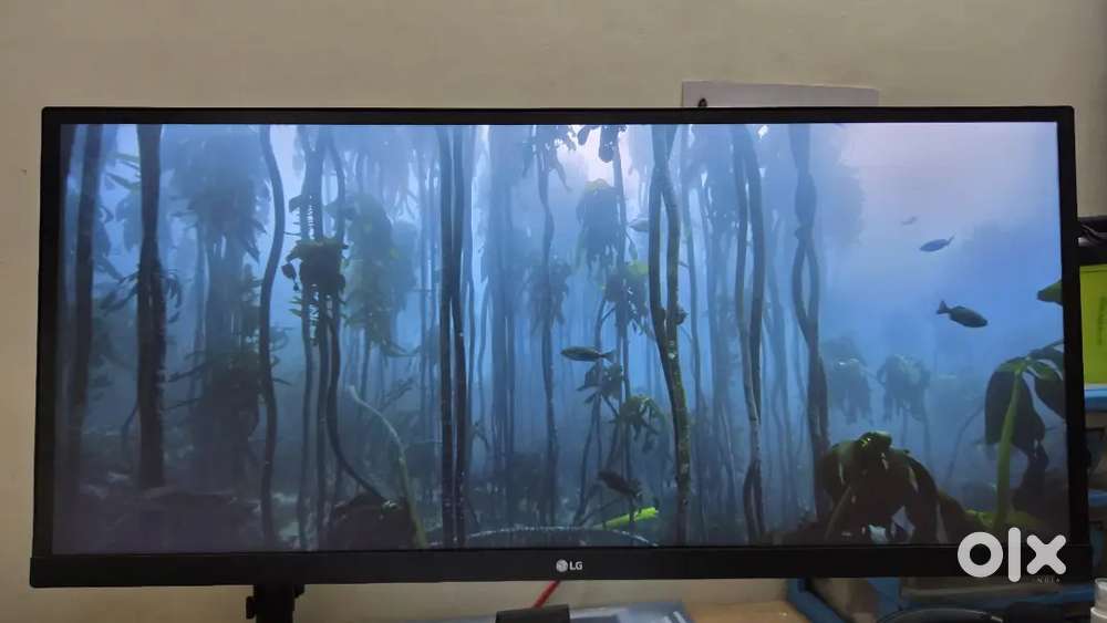 LG 29 Ultrawide Monitor with desk arm