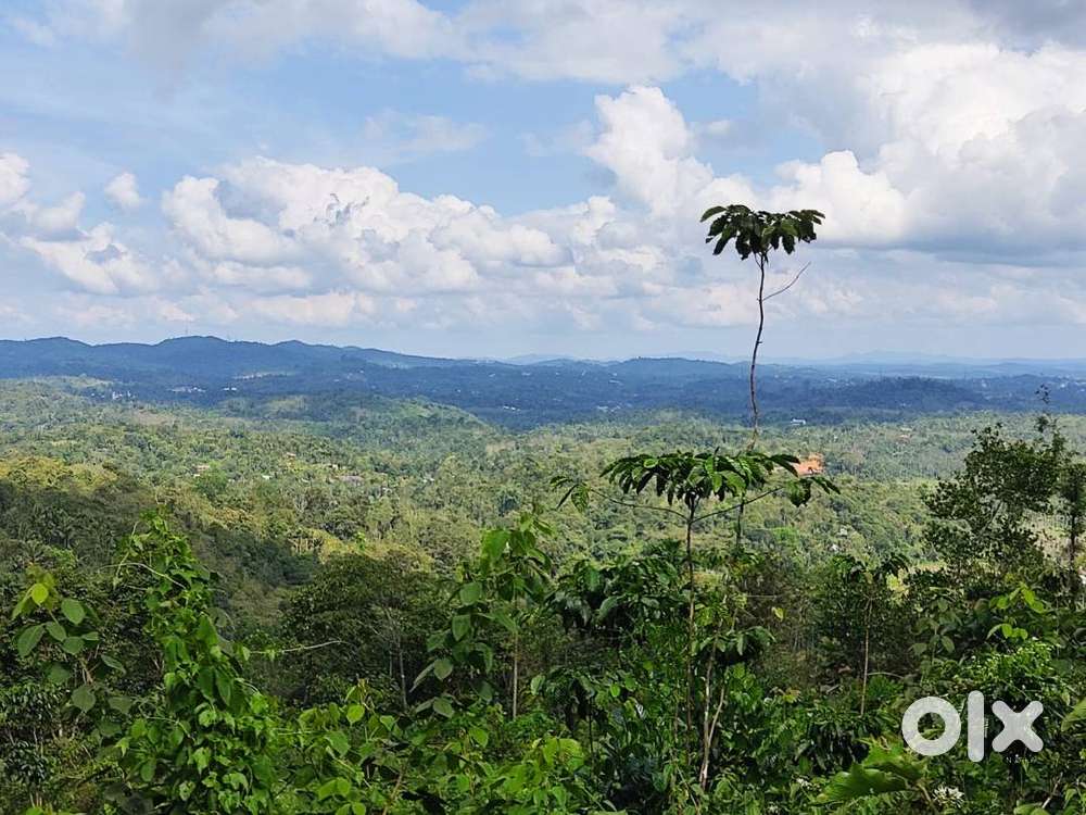 Hill View land for villa or homestay – Udayagiri Wayanad