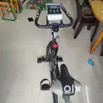 Magnetic spin bike