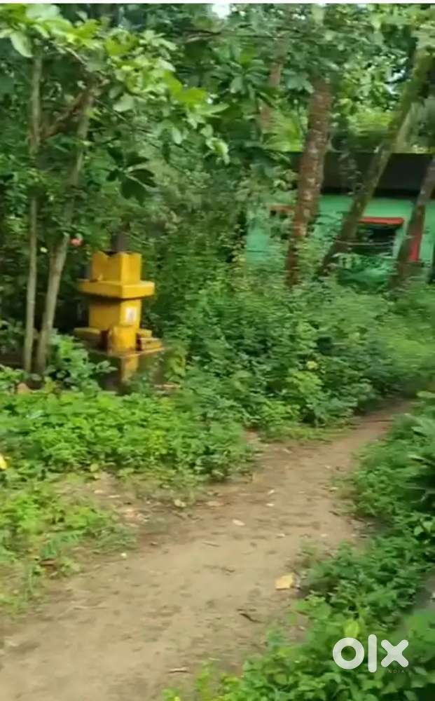 Open plot for lodging