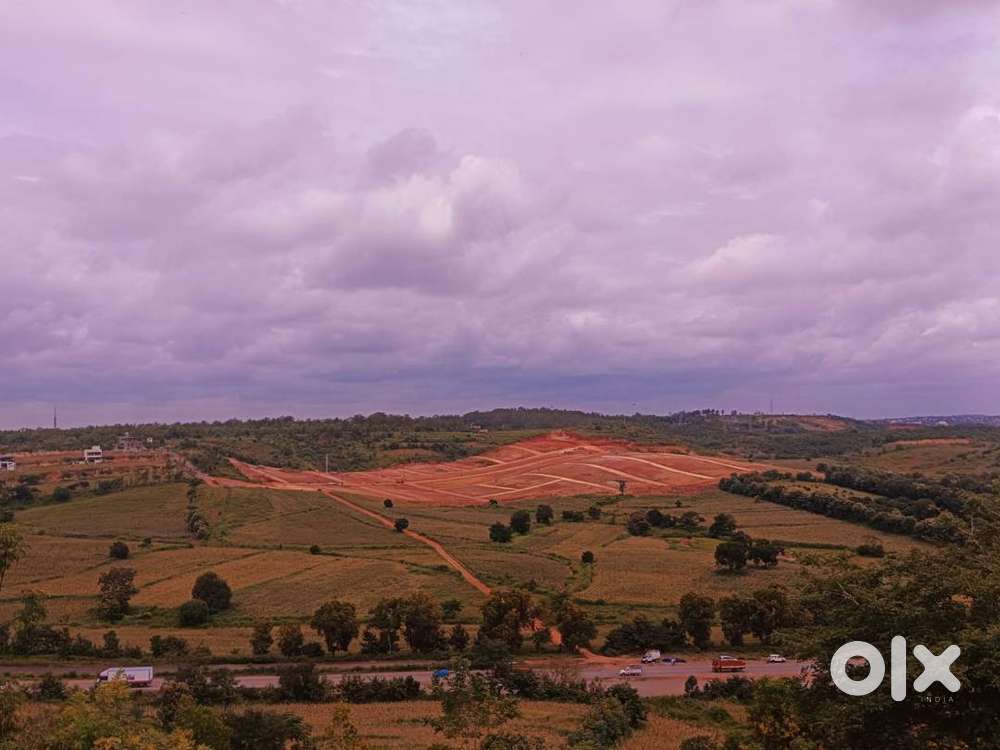 The Aurora Hills plotted development