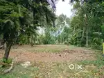 Land for sale roadside 30 cent