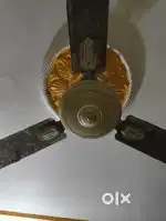Self for ceiling fan