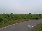 Road touch Agriculter land at Savli - Gothda