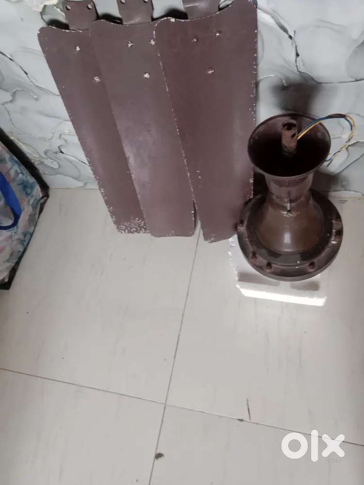 Celling fan . for shop and home.available.