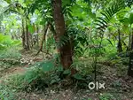 മാള കുഴുർ തുമ്പരശ്ശേരിയിൽ 37 സെന്റ് ഹൗസ് പ്ലോട്ടുകൾ വില്പനക്ക്