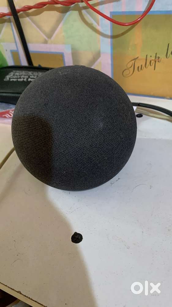 Alexa  echo dot 4th generation