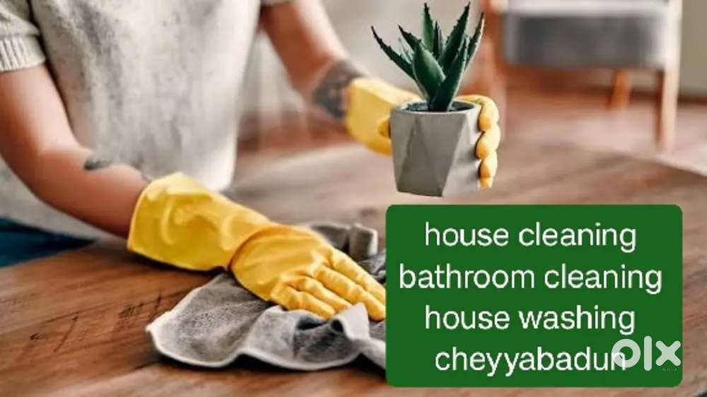 House cleaning washing