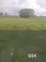 Sell Uttorayon township siliguri