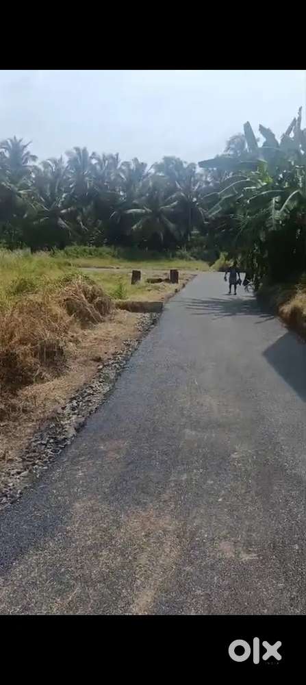 Palappalam Chittur.Call for Booking