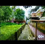 5 and half cent of Land plot for sale in Kadavanthra