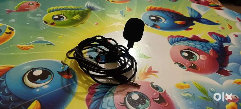 New small mic thorrur