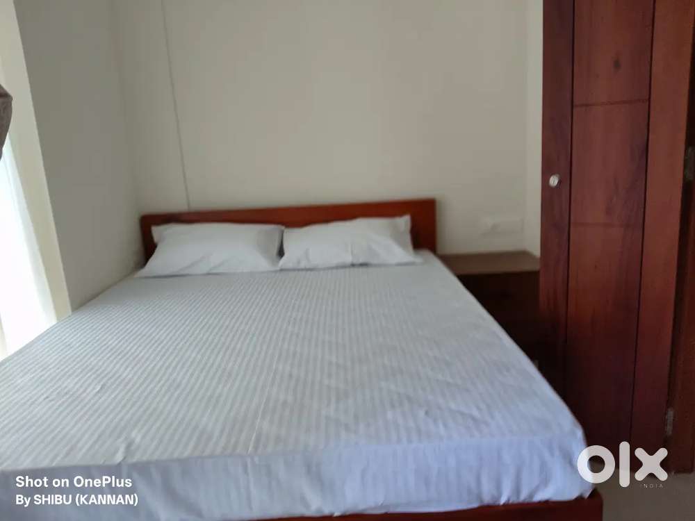 1 BHK flat for Rent near Cochin international airport