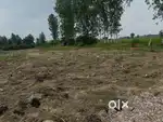 Every size of land and face
