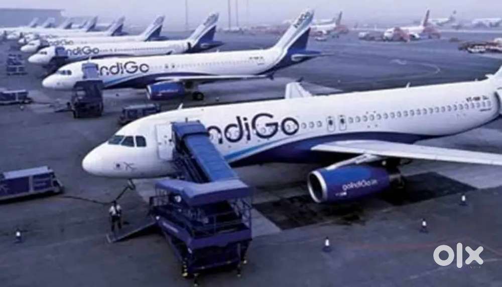 Jobs in IndiGo airlines call me for this job