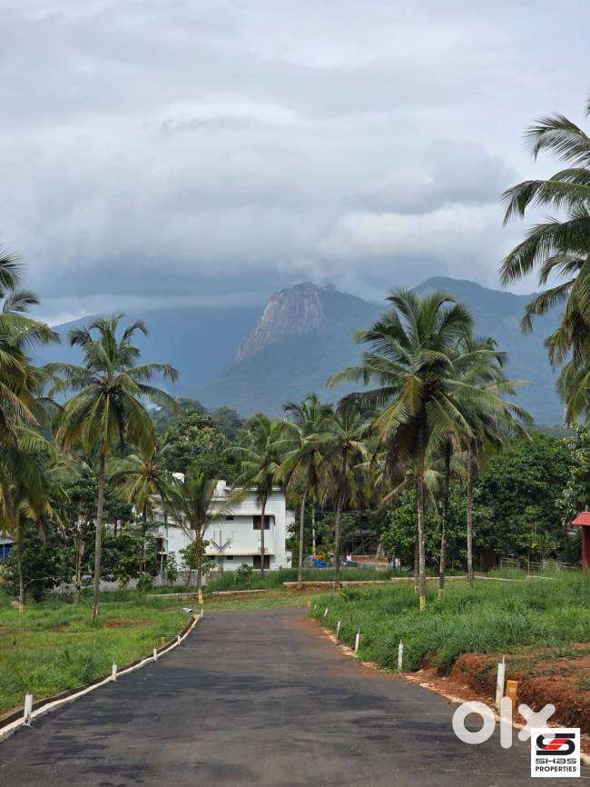 8 Cent House plot for sale in Viyyakurissi,Palakkad