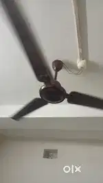Ceiling fan