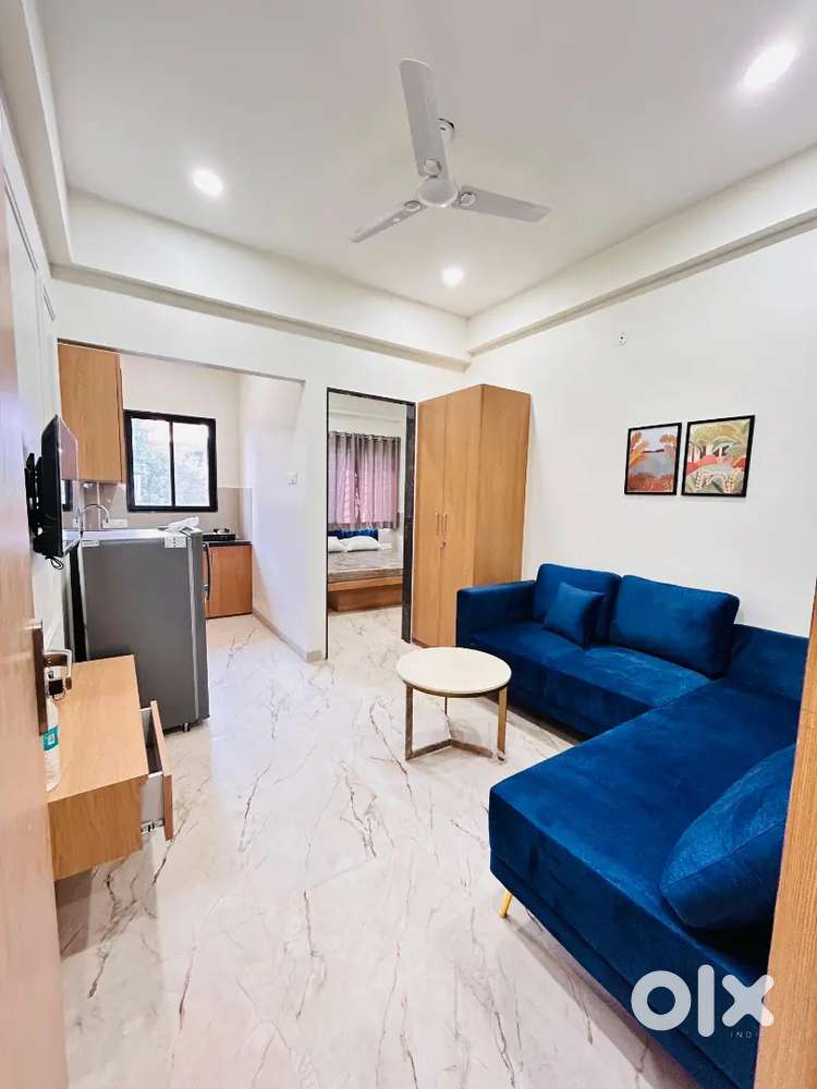 Lavish Newly 1BHK fully furnished flat for rent in Hare krishna vihar