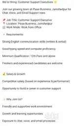 Costomer support executive