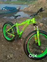 Green bycycle