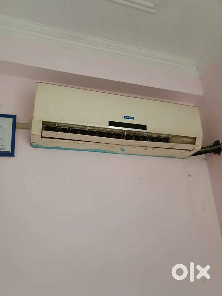 Blue star split AC Whirlpool fridge