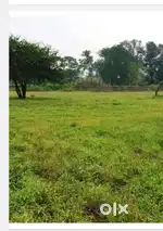 75 Acres Residential NA Plot for Sale.Shirwal,satara