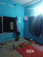 Need roommate