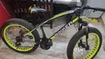 BIKKER Fat Tyre Cycle for Men