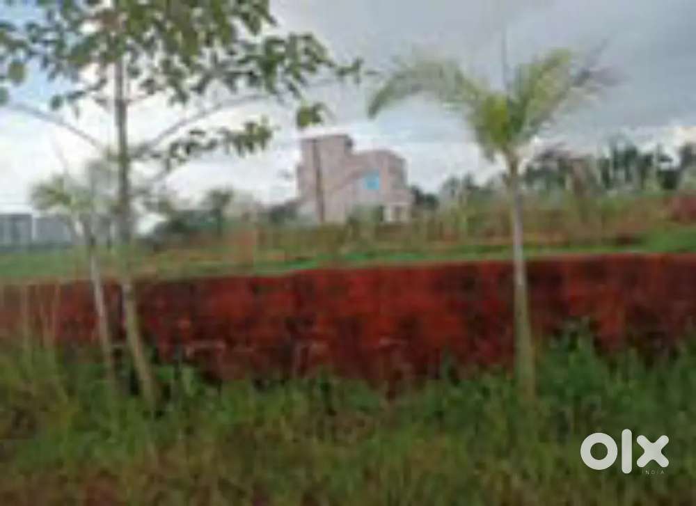 Plot for sale in Bhubaneswar patrapada dn regalia mall back side