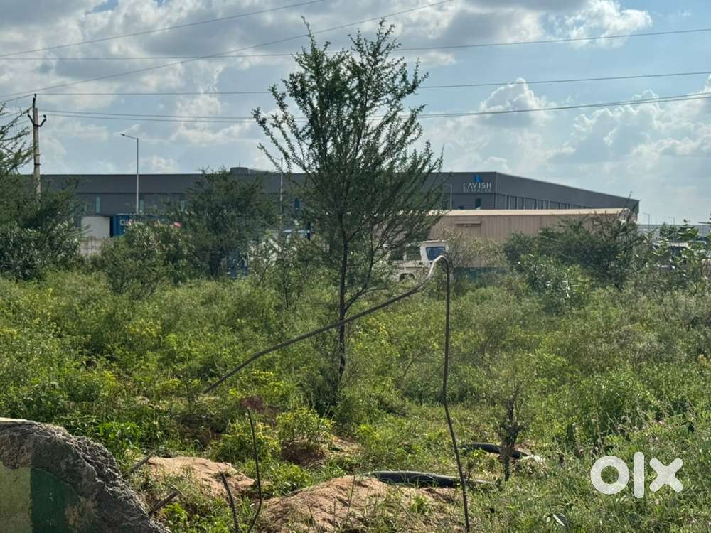 5 Acre Agriculture land on sale in Simha Village Haryana