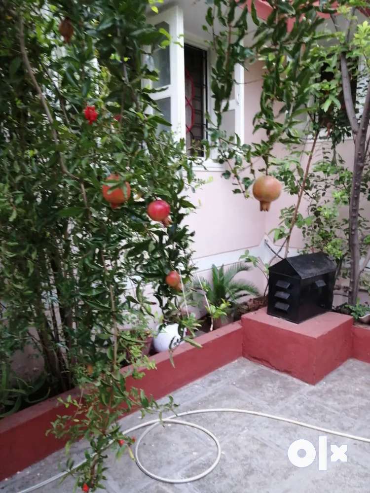 Bunglow with 2 BHK house and garden