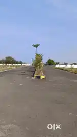 Approved Plots in Chilakaluripet towards Narasaraopet Road.