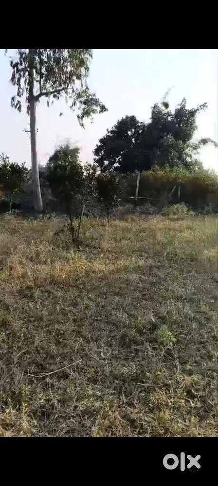 8.25 acre Land Available for sale at Jaitpur, Pandhurna Bhopal Highway