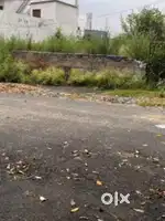 Chowadi near main road 13 marlas Plot (60/60) for sale