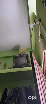 Tv videocon