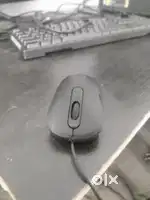 Mouse 1000 dpi
