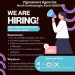 Sales & Marketing Executives